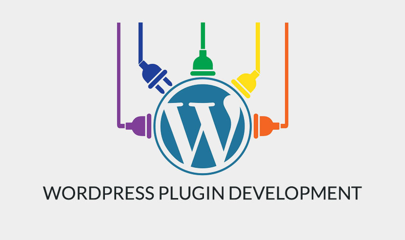 wordpress Custom Plugin Development Services