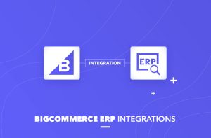 Expert BigCommerce Assistance by Synergy IT Solutions Team