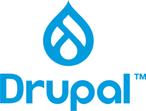 Experienced Drupal developers at Synergy IT crafting tailored solutions.