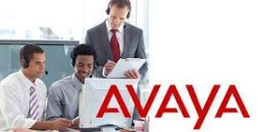 Avaya Cloud Phone System - Powered by Synergy IT