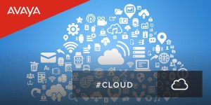 Synergy IT Solutions - Your Avaya Cloud Support Partner