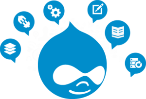 Synergy IT team of professional Drupal developers ready for specialized projects.