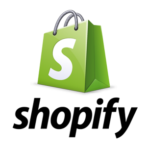 Synergy IT Solutions - Your Shopify Support Partner