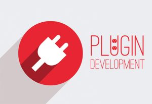 Custom Plugin Development Solutions by Synergy IT